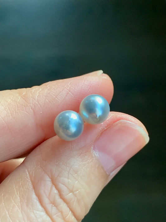 Natural Genuine Saltwater Lustrous Silver Gray Pearl Round Stud Earrings 925 Sterling Silver 6.62mm 天然海水奶奶灰圆珠珍珠纯银针耳钉 A